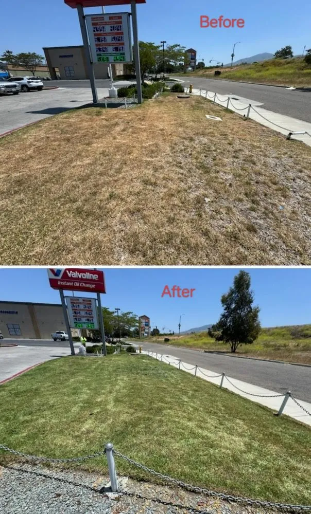 Custom outdoor landscaping in San Diego, CA - Manage Mowed