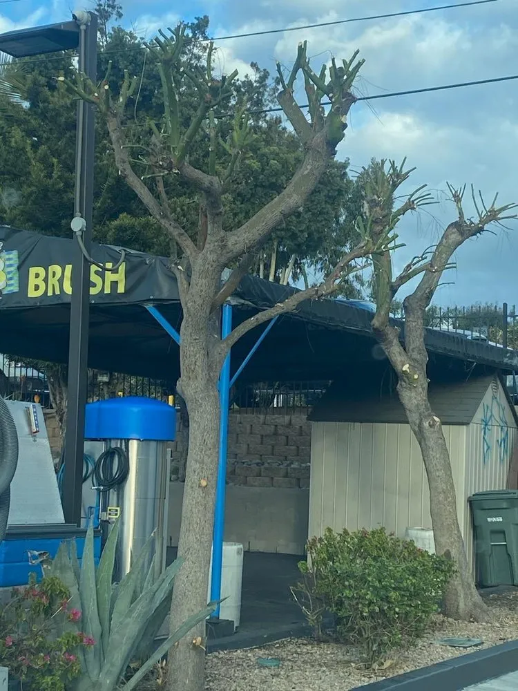 Expert outdoor landscaping for outdoor upgrades in San Diego, CA by Manage Mowed