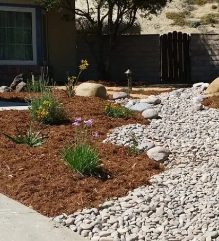 Custom landscape design near you in San Diego, CA by Manage Mowed