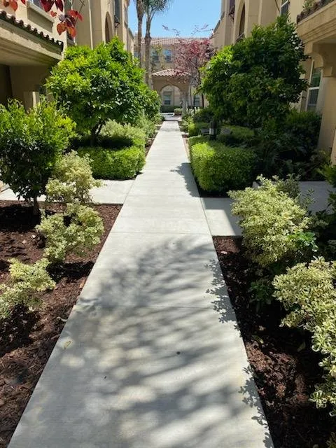 Local outdoor landscaping experts serving San Diego, CA - Manage Mowed
