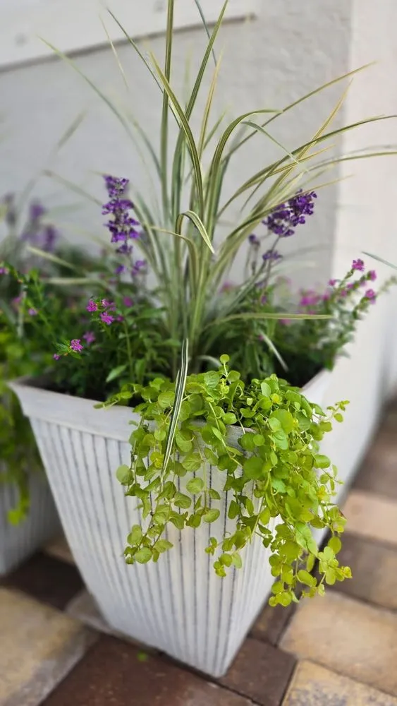 Trusted lawn mowing service for year-round maintenance across Parrish, FL - Manatee Porch and Planter
