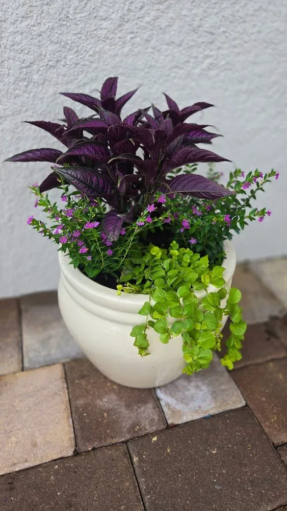 Affordable lawn mowing service in Parrish, FL by Manatee Porch and Planter