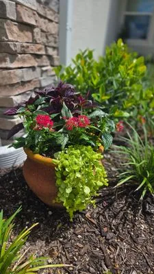 Manatee Porch and Planter Logo