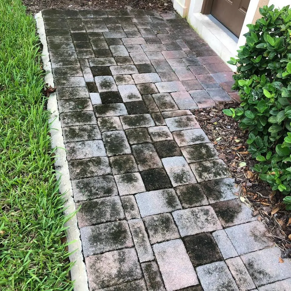 Custom garden landscaping for outdoor upgrades in Orlando, FL by Mancera Pressure Wash