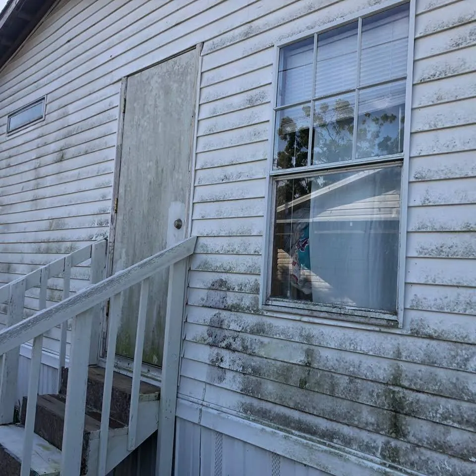 Expert lawn care service in Orlando, FL by Mancera Pressure Wash