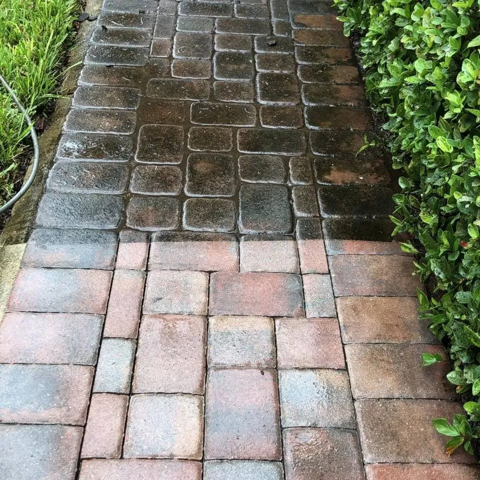 Professional landscape installation for homes across Orlando, FL - Mancera Pressure Wash