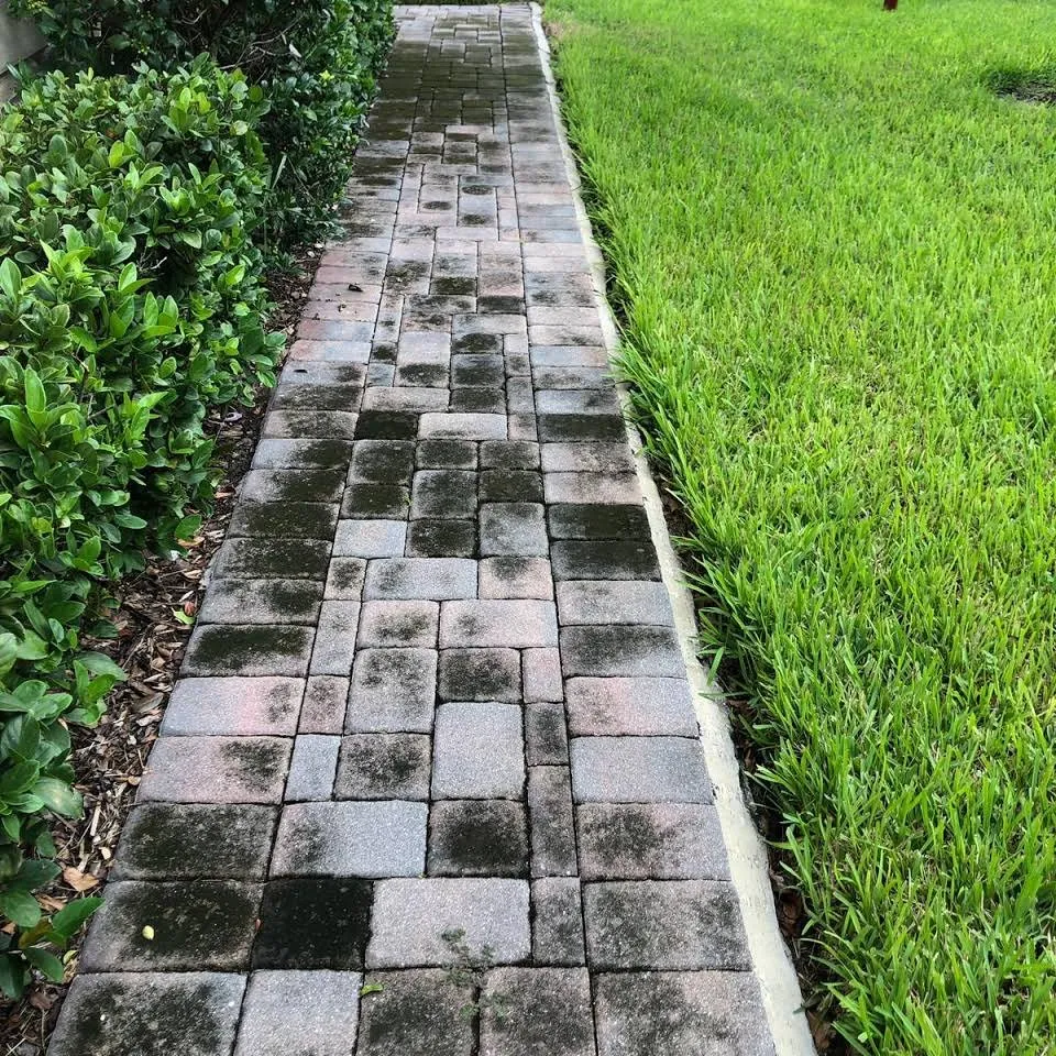 Top-rated landscape installation for homes across Orlando, FL - Mancera Pressure Wash