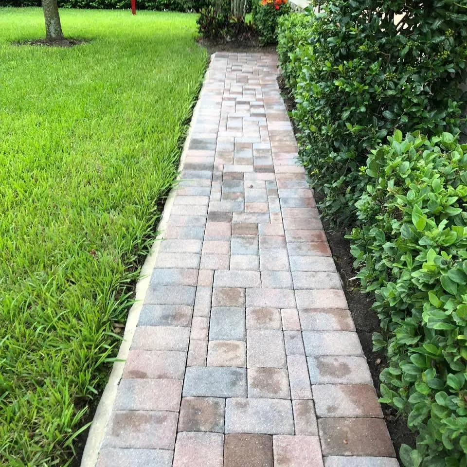 Expert lawn care service in Orlando, FL - Mancera Pressure Wash