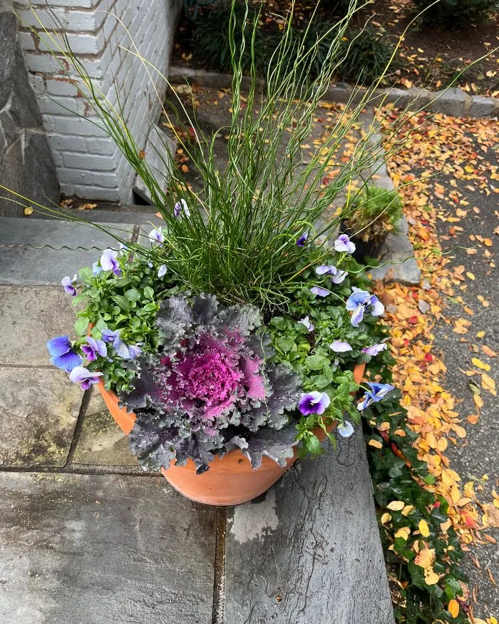 Local lawn mowing service experts serving Richmond, VA - Manchester Gardening