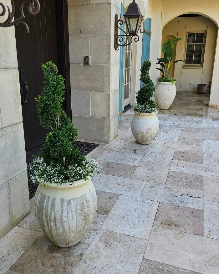 Trusted lawn care service in Richmond, VA - Manchester Gardening