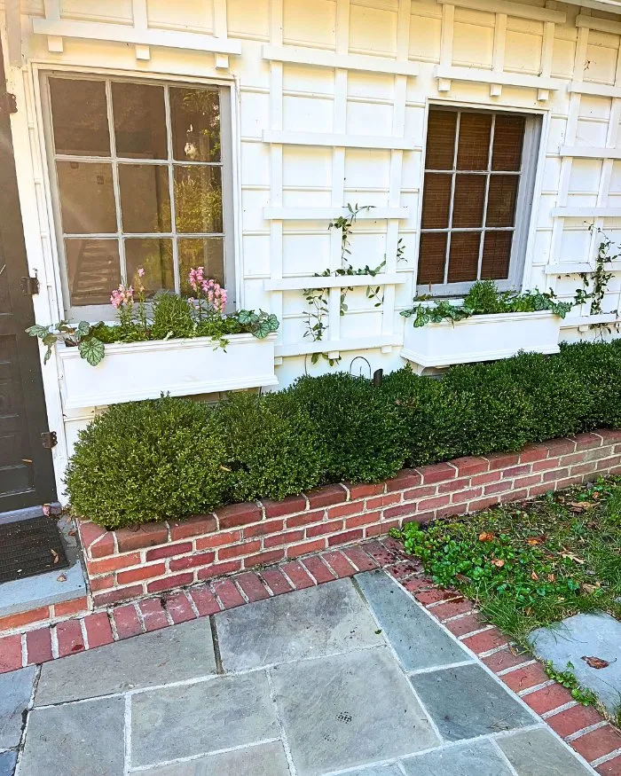 Professional yard cleanup service for beautiful yards across Richmond, VA - Manchester Gardening