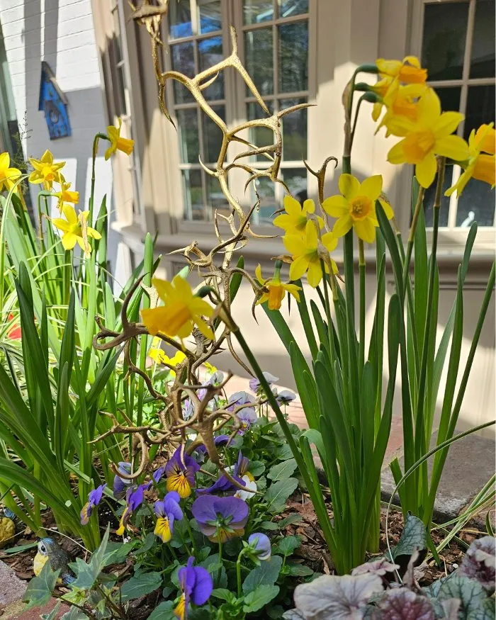 Professional yard cleanup service for year-round maintenance in Richmond, VA by Manchester Gardening