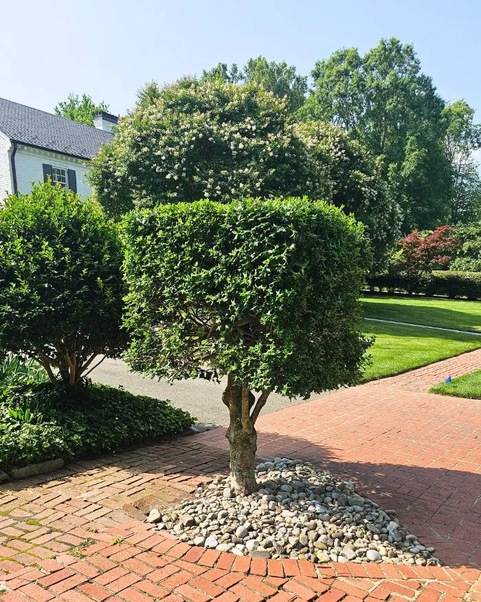 Local outdoor landscaping in Richmond, VA - Manchester Gardening