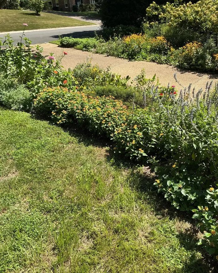 Expert yard cleanup service in Richmond, VA - Manchester Gardening