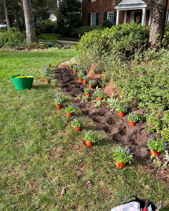 Professional lawn care service for beautiful yards across Richmond, VA - Manchester Gardening