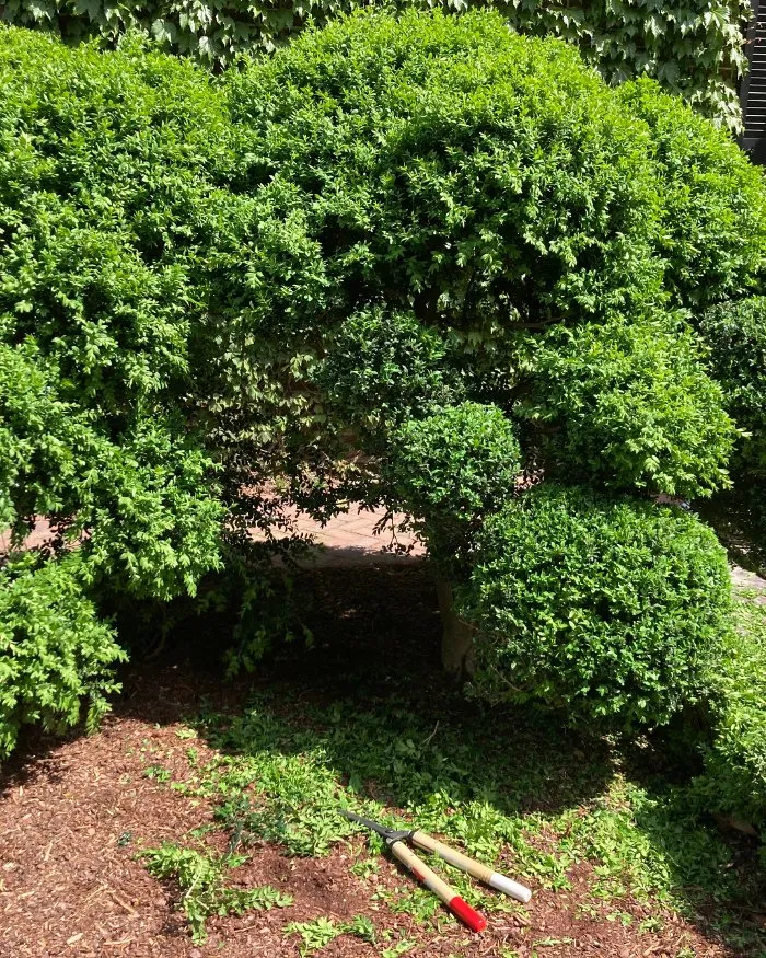 Reliable landscape design in Richmond, VA by Manchester Gardening