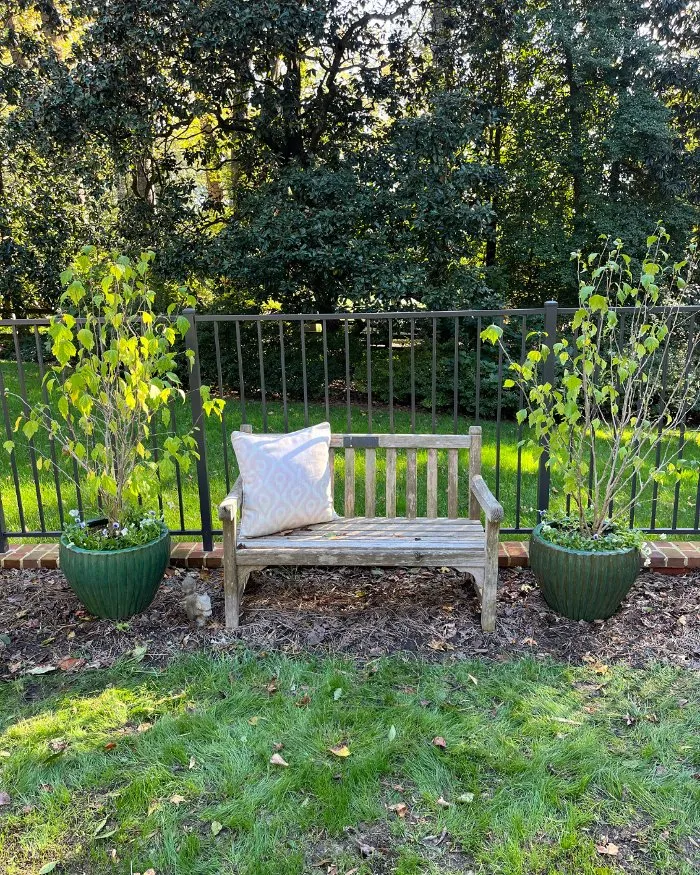 Trusted yard cleanup service in Richmond, VA by Manchester Gardening