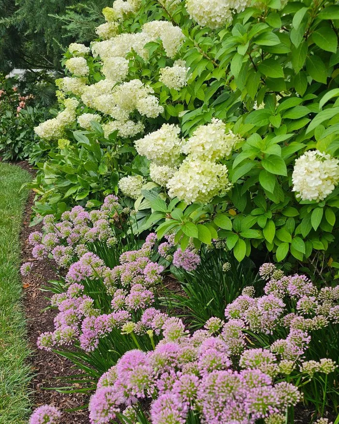 Top-rated yard cleanup service in Richmond, VA - Manchester Gardening