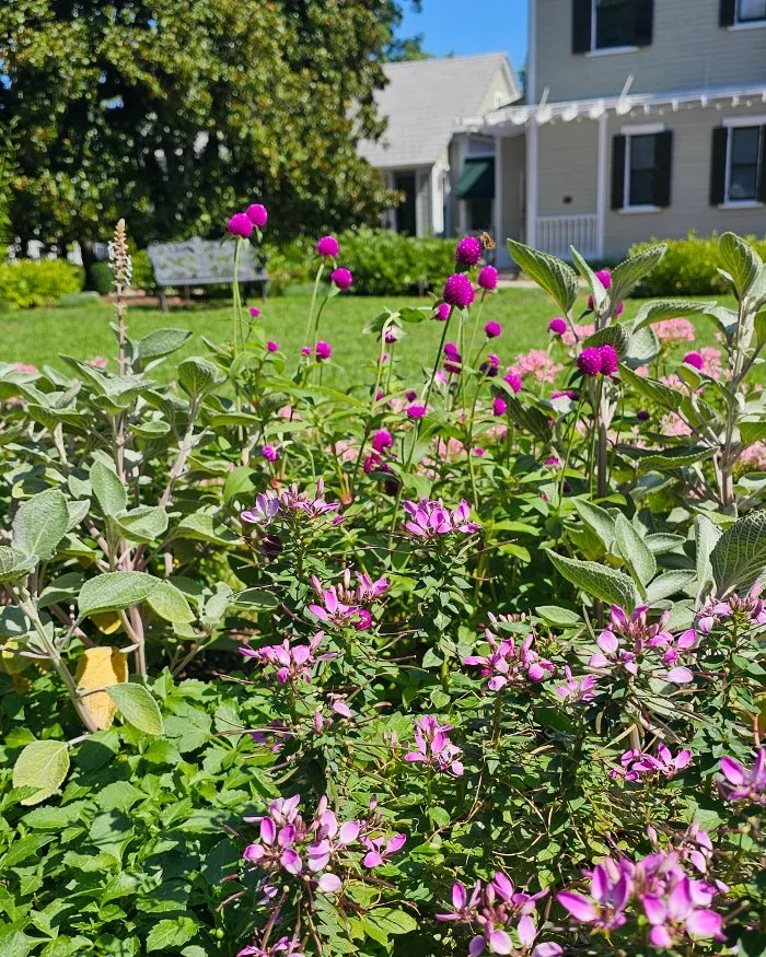 Professional landscape installation in Richmond, VA - Manchester Gardening