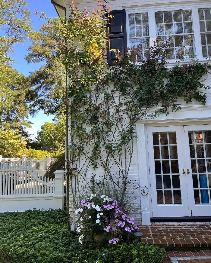 Professional landscape design for year-round maintenance across Richmond, VA - Manchester Gardening