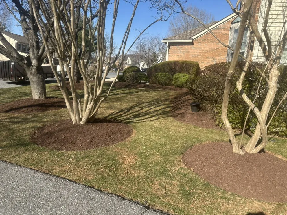 Reliable yard maintenance in Montgomry Vlg, MD - Mancia Landscaping Pros