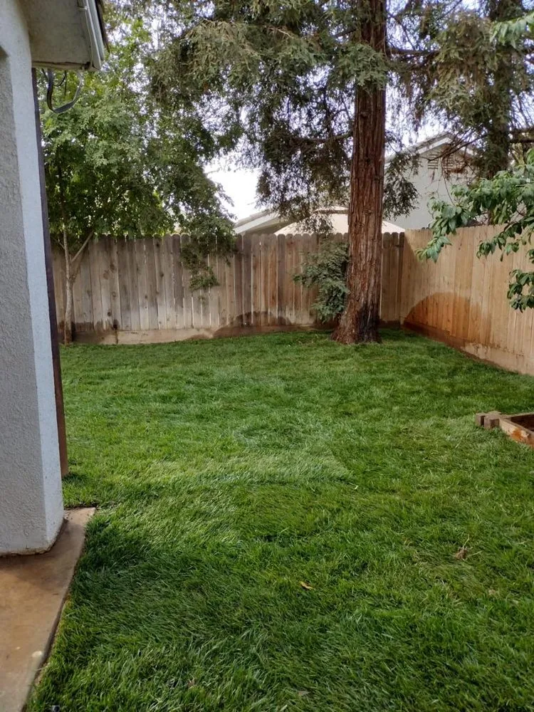 Expert outdoor landscaping in Fresno, CA by Mancillas Landscaping Pros