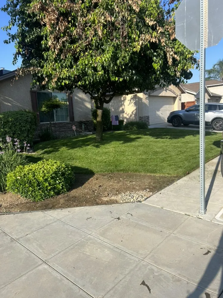 Professional landscaping services in Fresno, CA - Mancillas Landscaping Pros