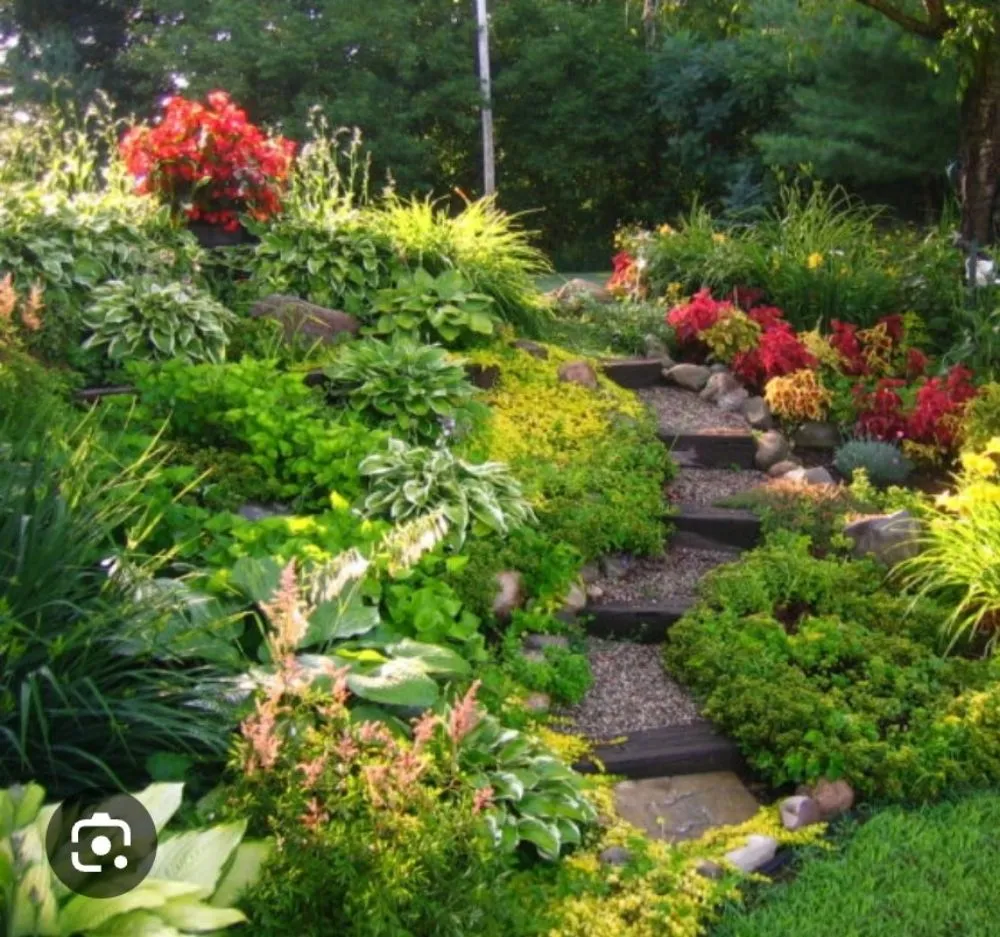 Top-rated landscape installation in Hilliard, FL - Mandee's Mobile Wash and Folds