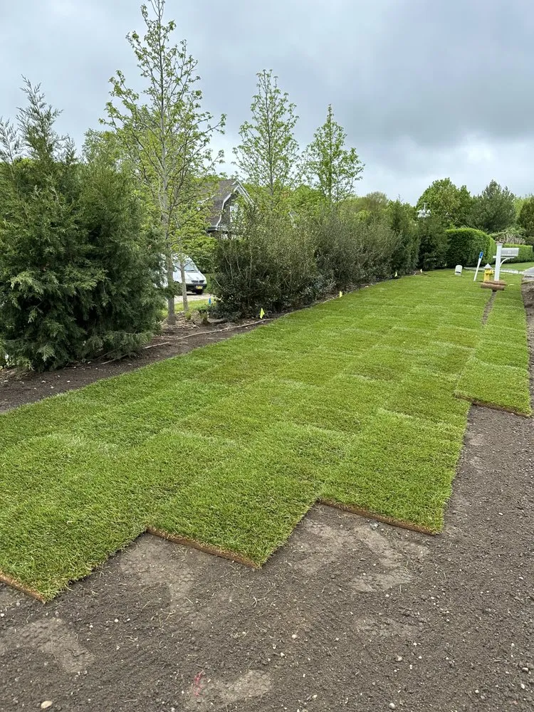 Trusted yard maintenance experts serving East Hampton, NY - Mandevilla Landscaping