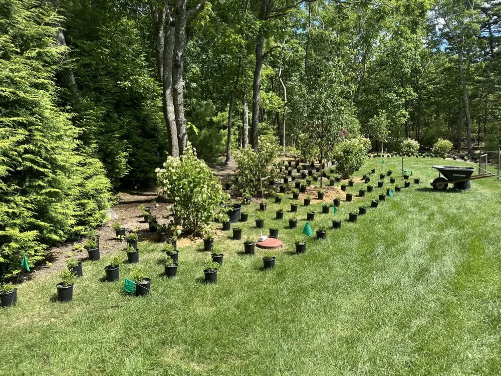 Top-rated landscaping services in East Hampton, NY - Mandevilla Landscaping