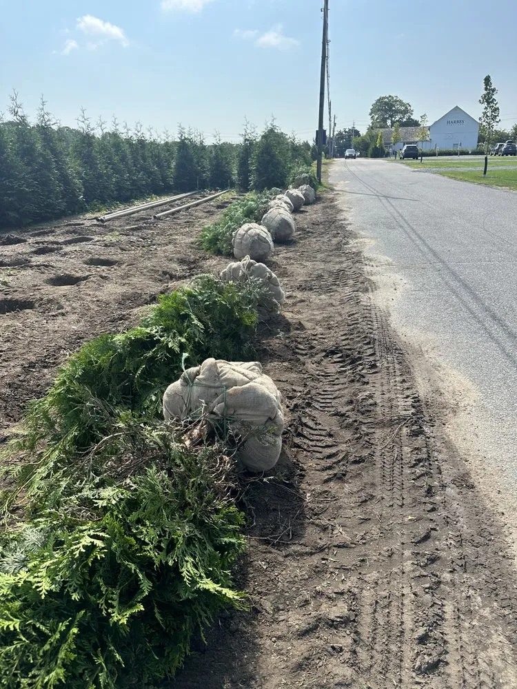 Reliable residential landscaping in East Hampton, NY by Mandevilla Landscaping