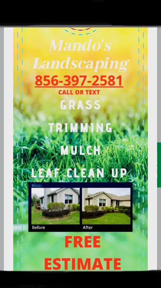 Local yard cleanup service in Camden, NJ by Mando’s Landscaping