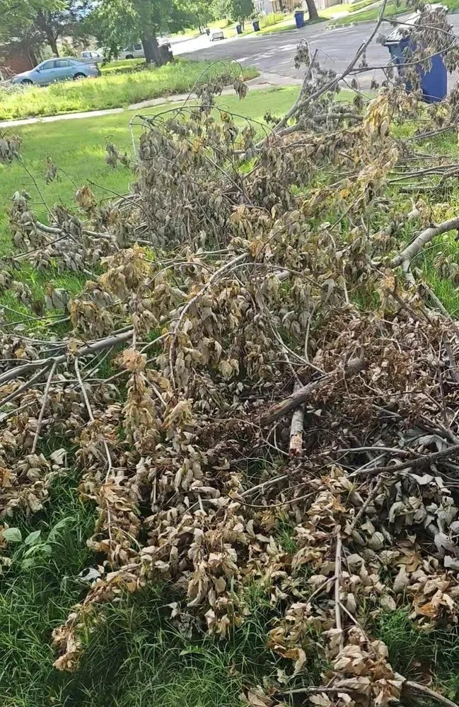 Professional yard maintenance for beautiful yards across Wichita, KS - Mando's Power Services