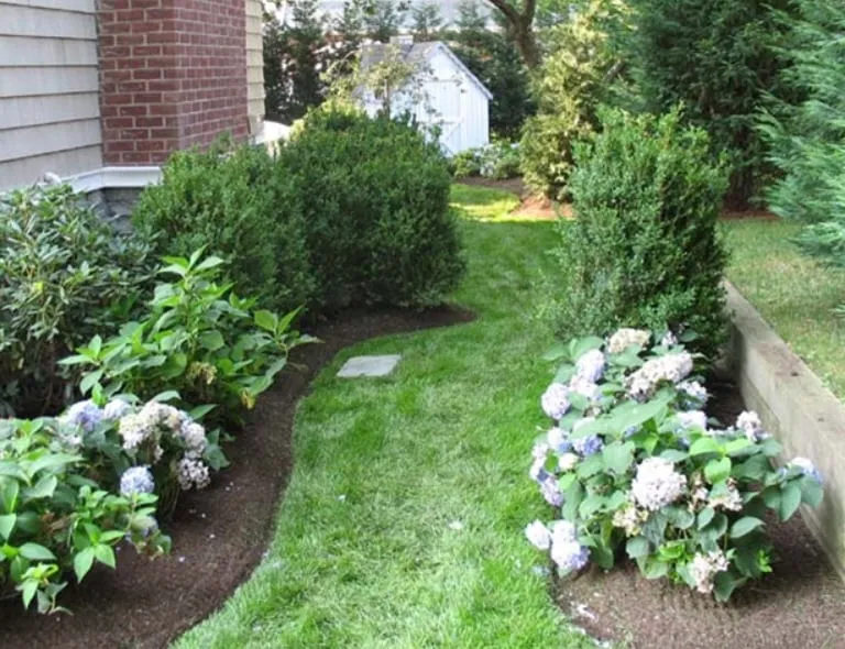 Local landscaping services in Seattle, WA - Mandujno Landscape Service