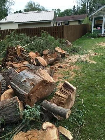 Custom landscape installation in Buffalo, NY by Manganiello and Sons