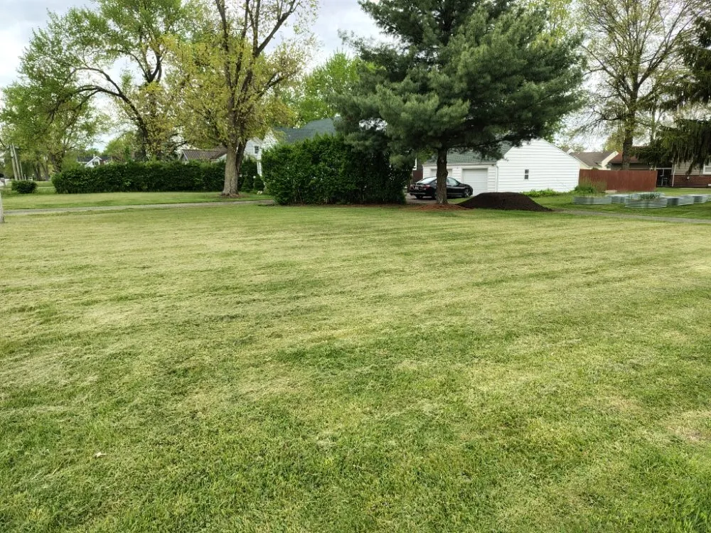 Local lawn mowing service in Lima, OH - Mangini Pristine Lawn Care