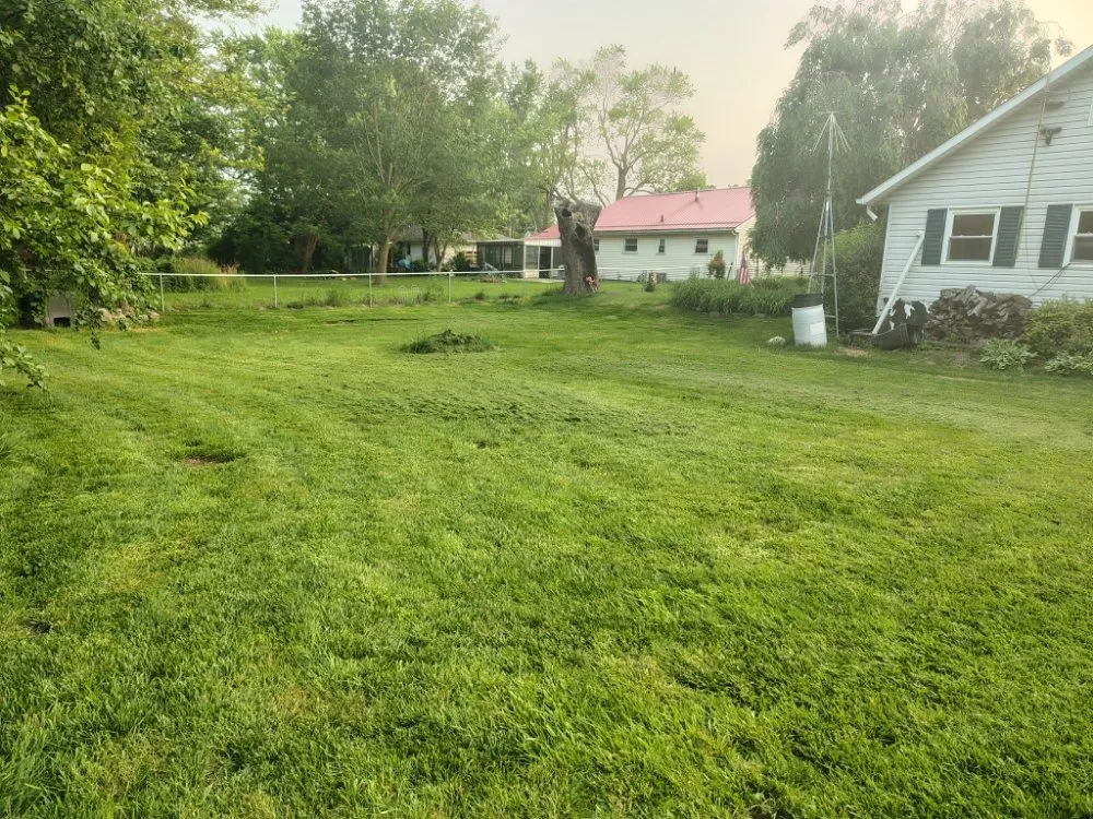 Local lawn mowing service with custom design in Lima, OH by Mangini Pristine Lawn Care