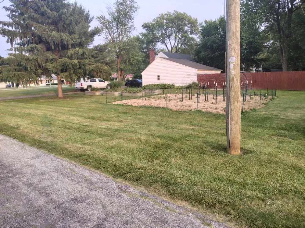 Professional yard cleanup service experts serving Lima, OH - Mangini Pristine Lawn Care
