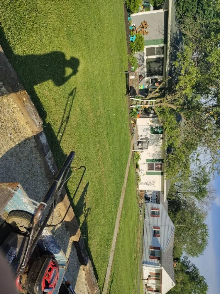 Top-rated lawn care service for beautiful yards across Lima, OH - Mangini Pristine Lawn Care