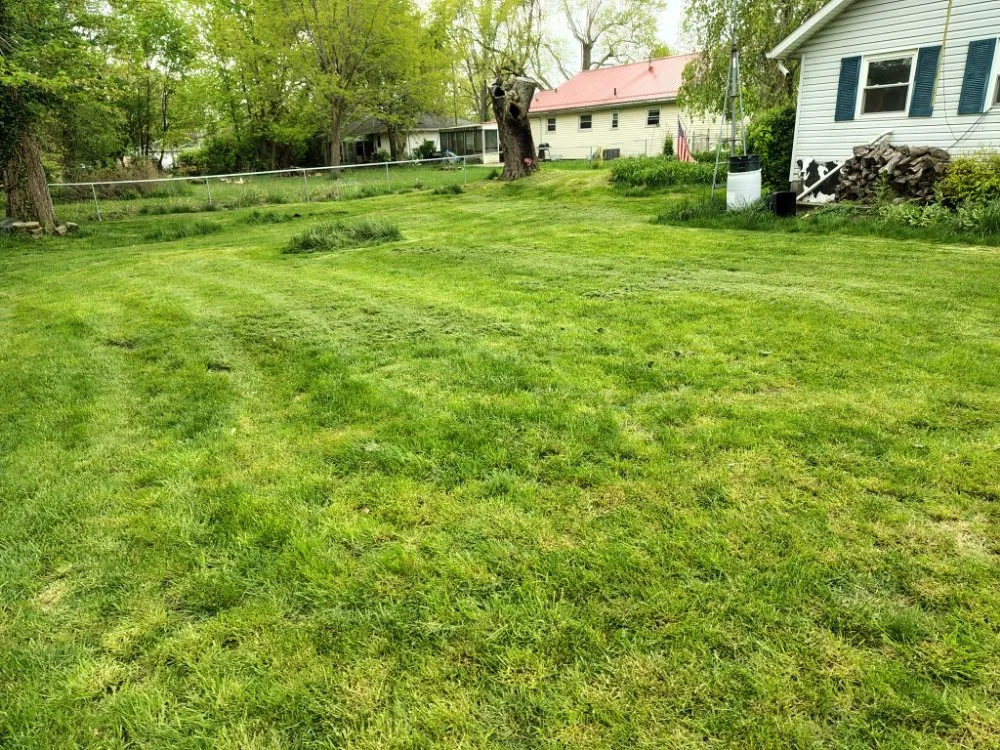 Top-rated lawn mowing service in Lima, OH - Mangini Pristine Lawn Care