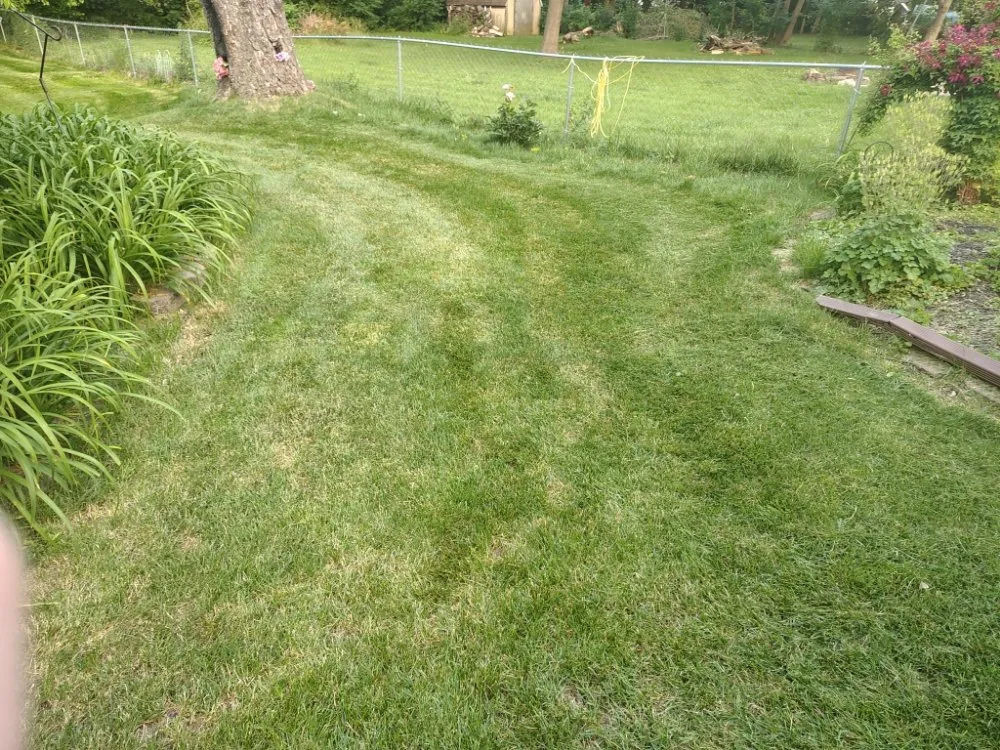 Custom lawn care service in Lima, OH by Mangini Pristine Lawn Care