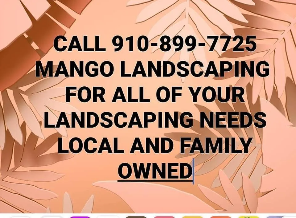 Local yard cleanup service experts serving Leland, NC - Mango Landscaping
