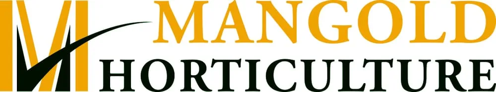 Trusted yard maintenance for residential properties across Excelsior, MN - Mangold Horticulture