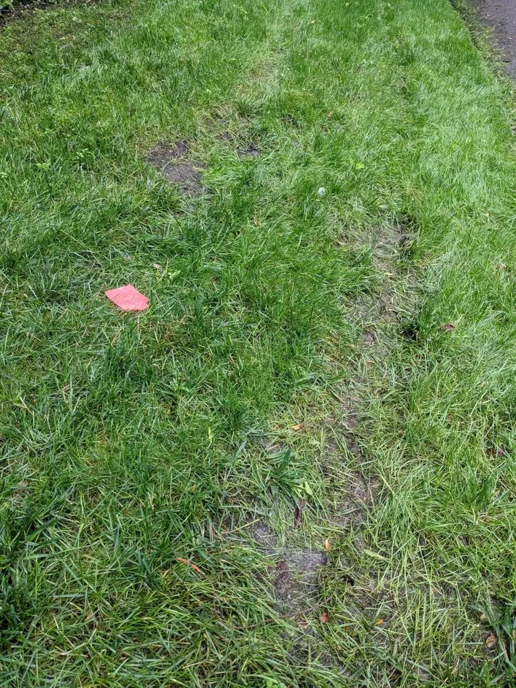 Top-rated outdoor landscaping in Excelsior, MN - Mangold Horticulture