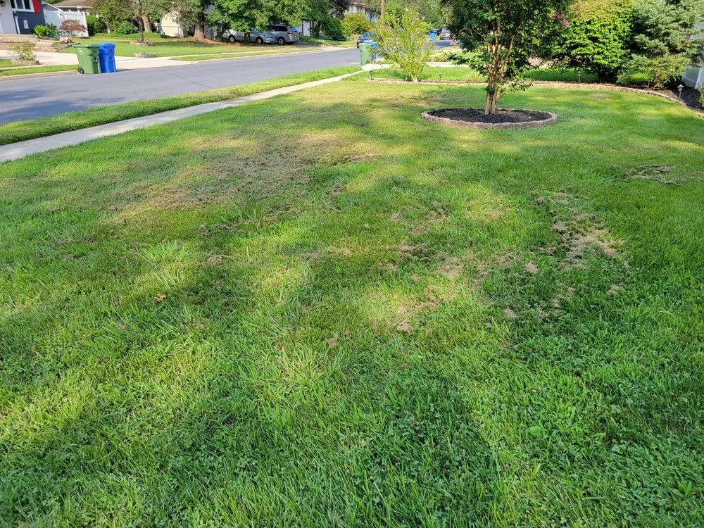Custom landscape installation with custom design across Merchantville, NJ - Mangold Lawn & Landscape