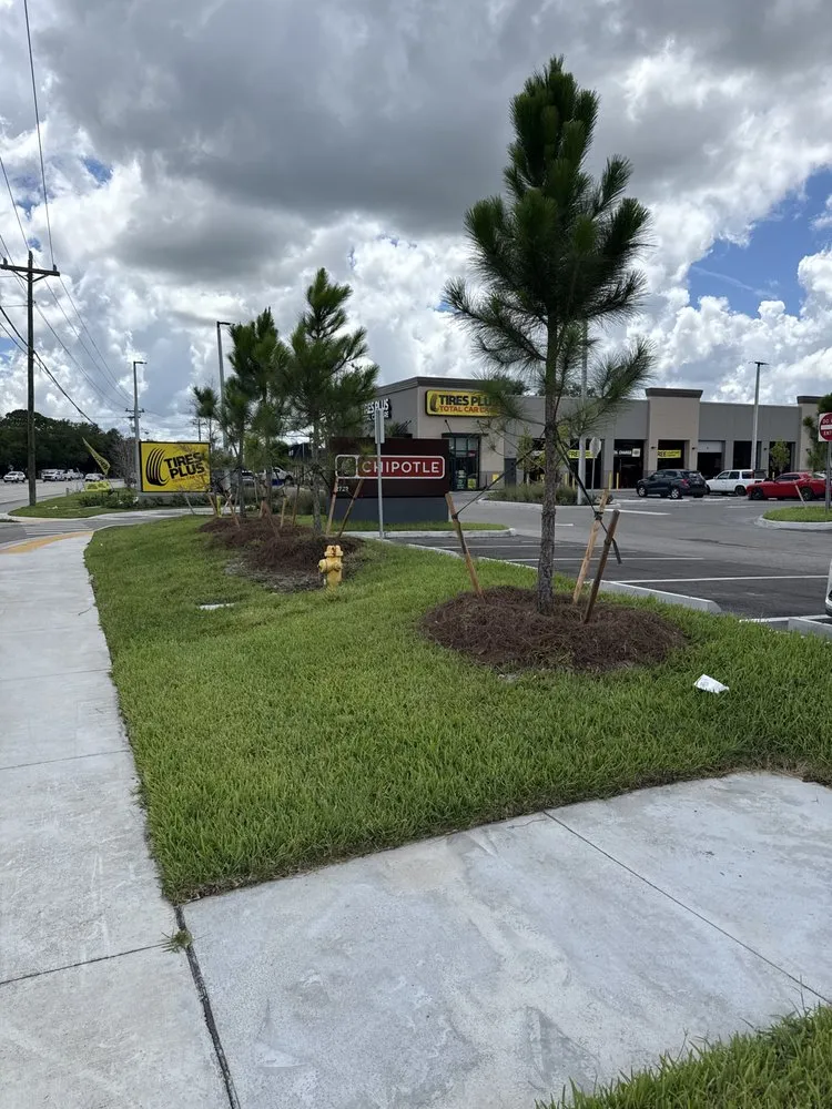 Local landscape installation in Naples, FL by Mangrove Landscape Management