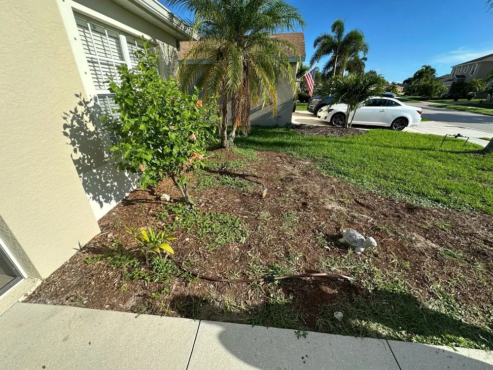 Affordable landscape design in Port Charlotte, FL - Mangrove Landscaping
