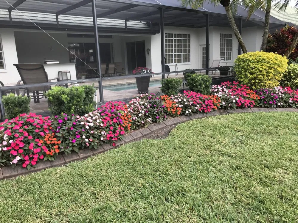 Expert yard maintenance experts serving Port Charlotte, FL - Mangrove Landscaping