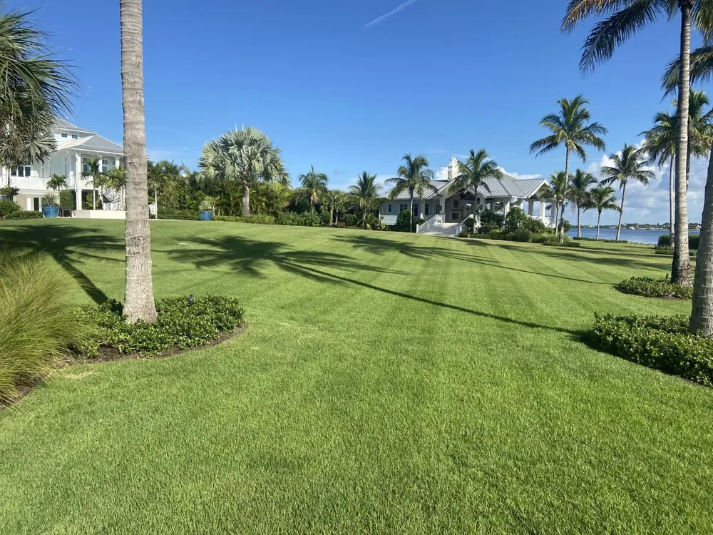 Expert outdoor landscaping with custom design across Port Charlotte, FL - Mangrove Landscaping