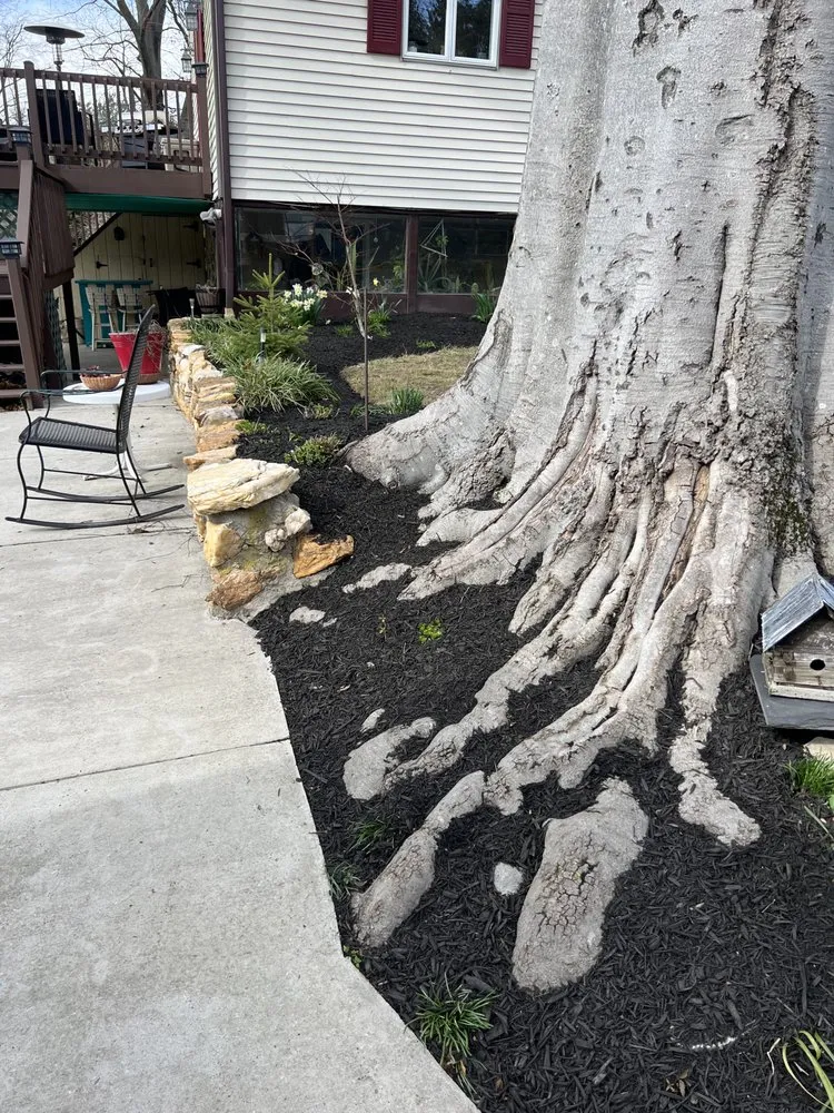 Local lawn care service experts serving Edgewood, MD - Mangum Landscaping